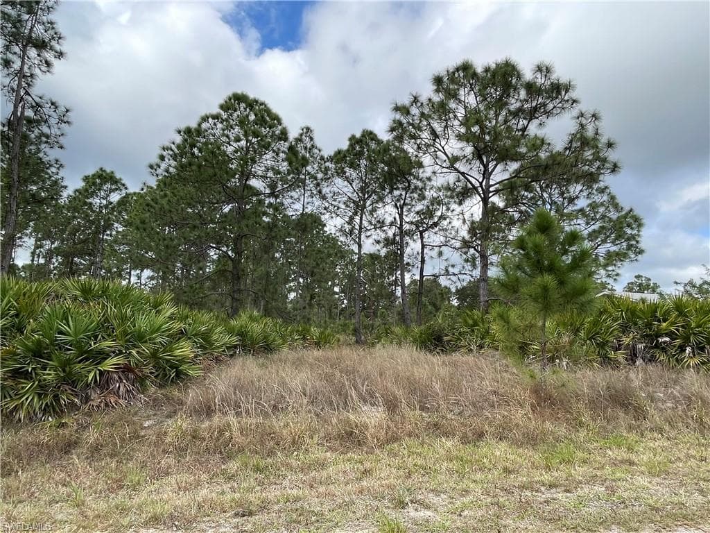 1217 Robert AVE LEHIGH ACRES, FL 33972