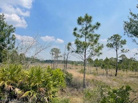 13573 Queen AVE CLEWISTON, FL 33440