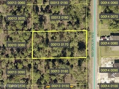 1309 Magnolia AVE LEHIGH ACRES, FL 33972