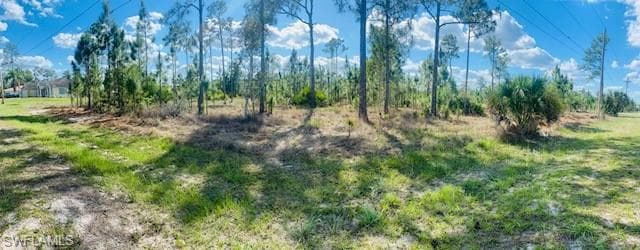919 Jackson AVE LEHIGH ACRES, FL 33972