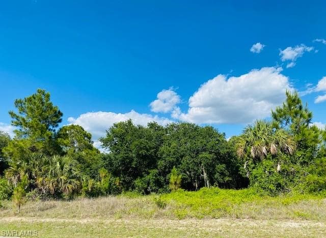 3601 E 17th ST LEHIGH ACRES, FL 33972