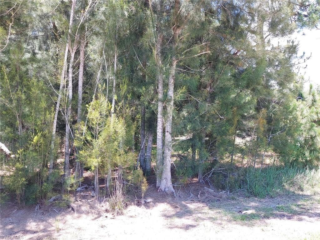 28030 Pasadena DR PUNTA GORDA, FL 33955