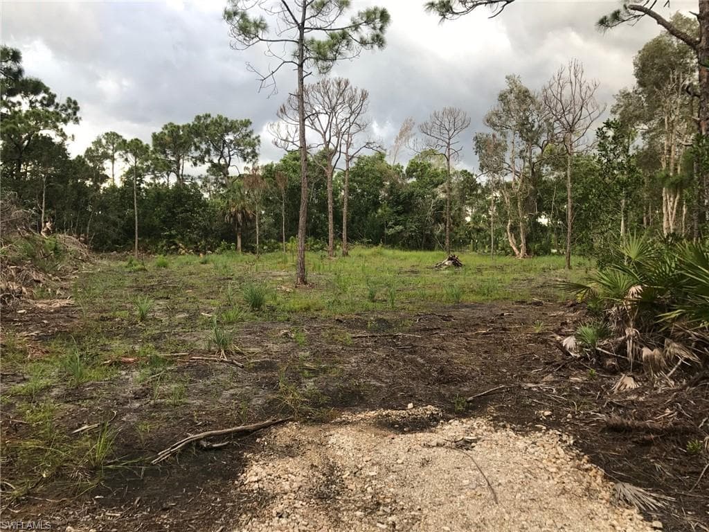 4235 Berkshire RD OTHER, FL 33956