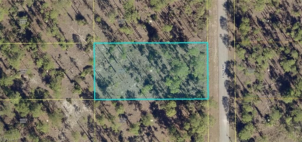 809 Louis AVE LEHIGH ACRES, FL 33972
