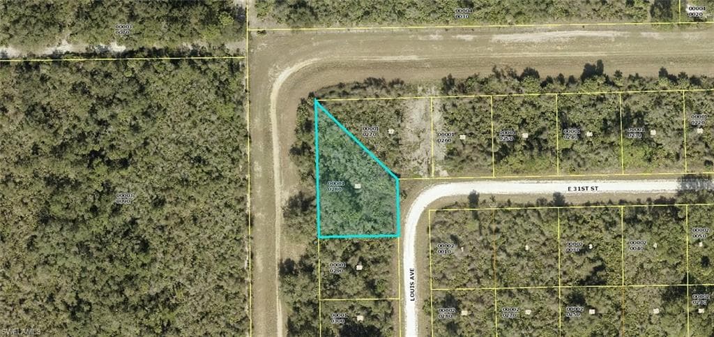 3005 Louis AVE ALVA, FL 33920