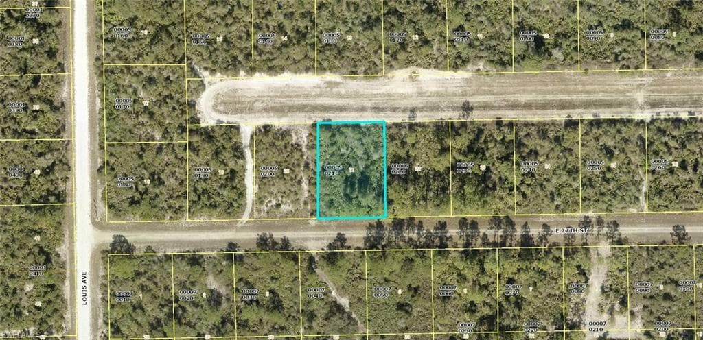 4195 E 27th ST ALVA, FL 33920
