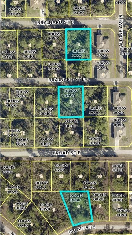 924 Brainard ST E LEHIGH ACRES, FL 33974