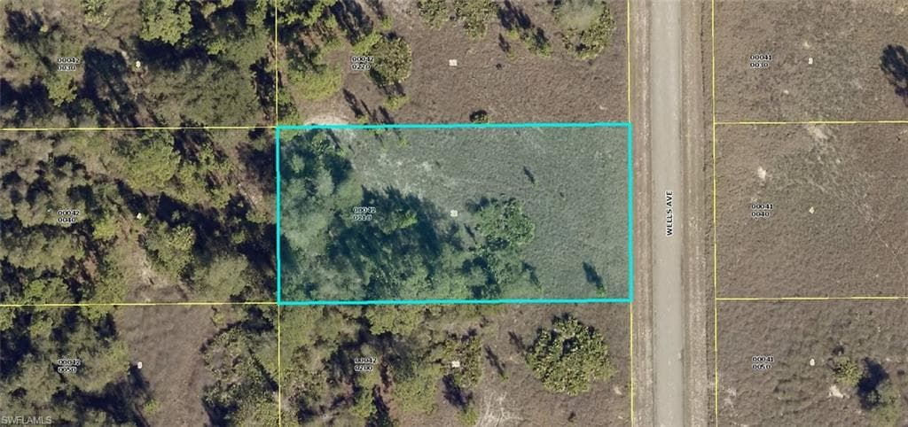 1917 Wells AVE LEHIGH ACRES, FL 33972