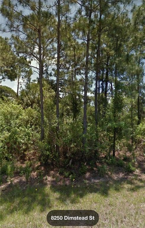 8250 Dimstead ST PORT CHARLOTTE, FL 33981