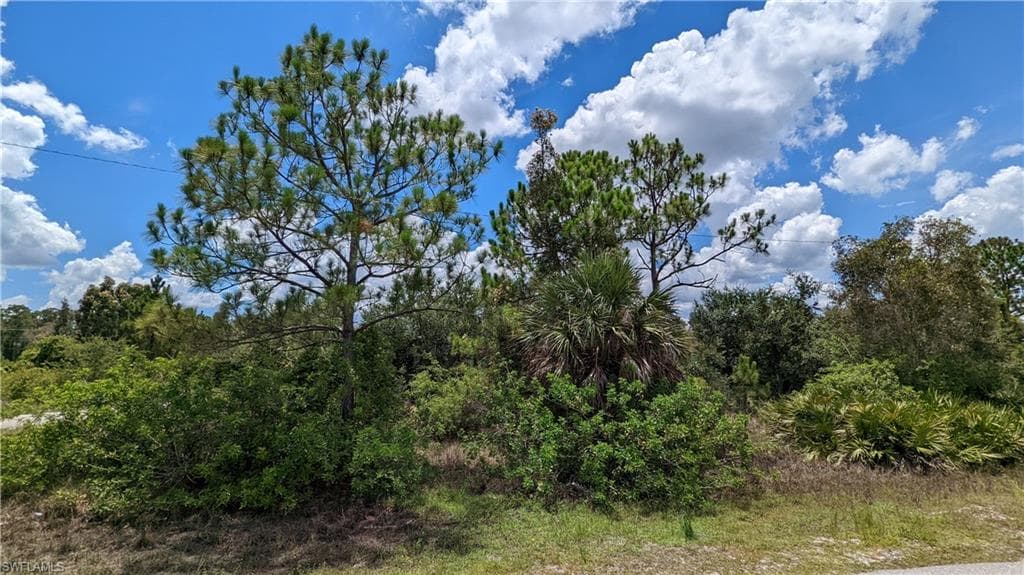 4502 Ruth AVE S LEHIGH ACRES, FL 33976