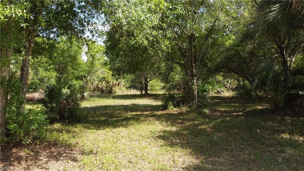 17800 Wellswood RD NORTH FORT MYERS, FL 33917