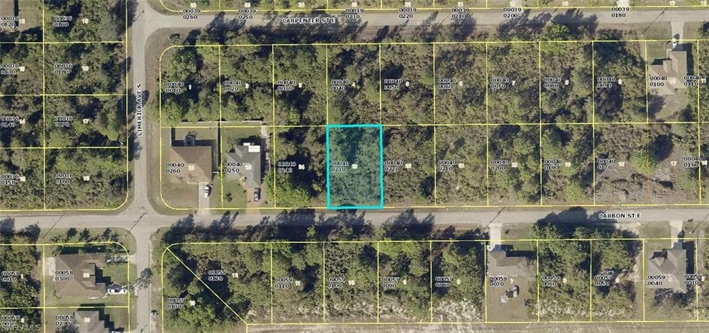 825 Carbon ST E LEHIGH ACRES, FL 33974