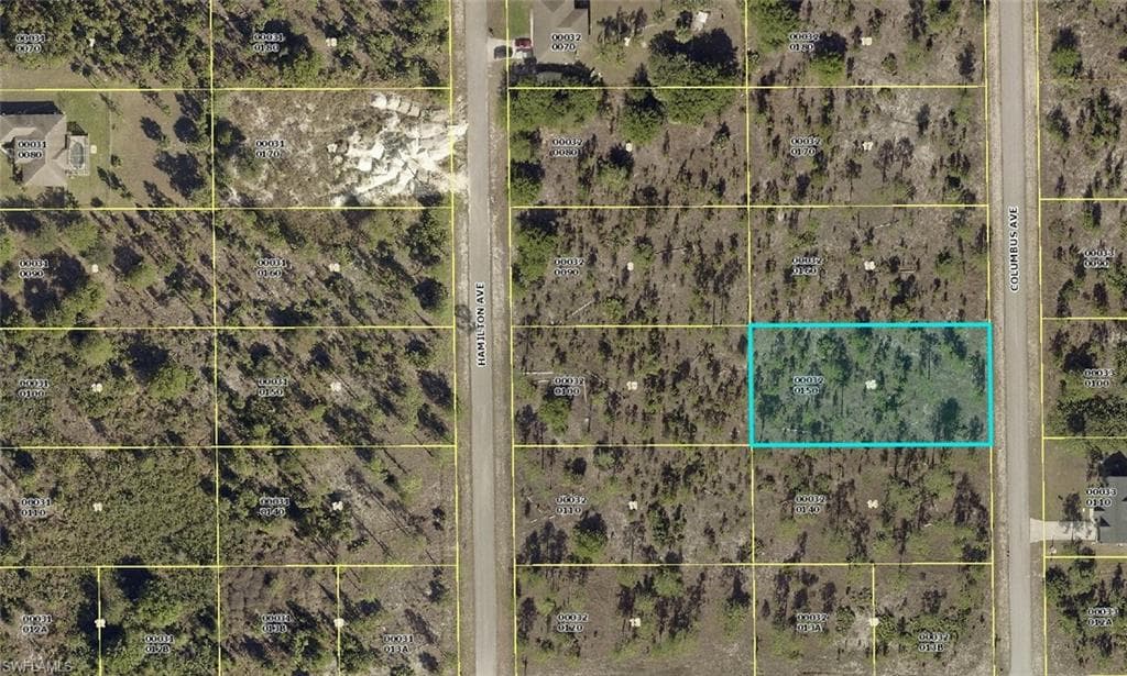 1005 Columbus AVE LEHIGH ACRES, FL 33972