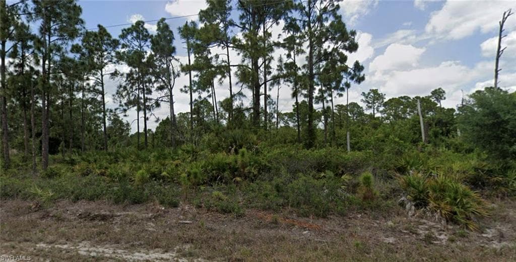 923 Bolivia DR LEHIGH ACRES, FL 33974