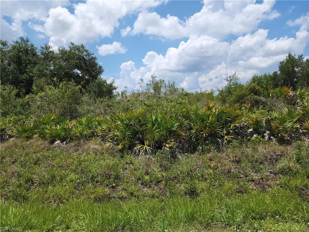 2519 13th ST SW LEHIGH ACRES, FL 33976