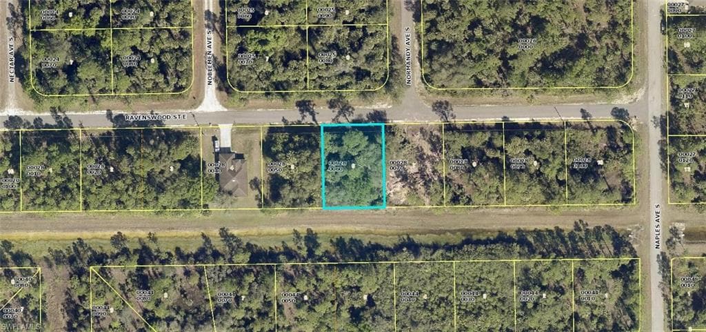 1238 Ravenswood ST E LEHIGH ACRES, FL 33974