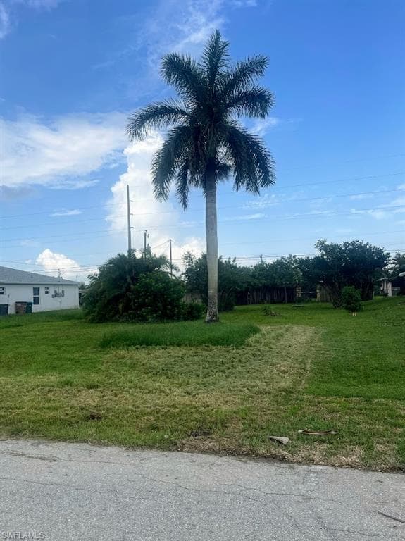 2915/2917 SW Santa Barbara PL CAPE CORAL, FL 33914