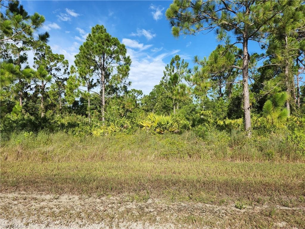 409 Hines AVE LEHIGH ACRES, FL 33972