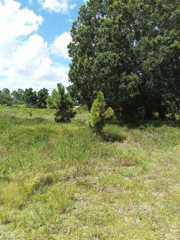 2921 18th ST SW LEHIGH ACRES, FL 33976