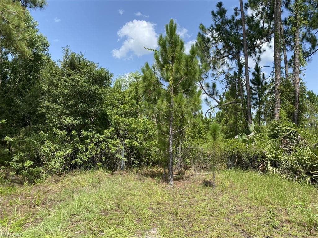 1107 Robert AVE LEHIGH ACRES, FL 33936