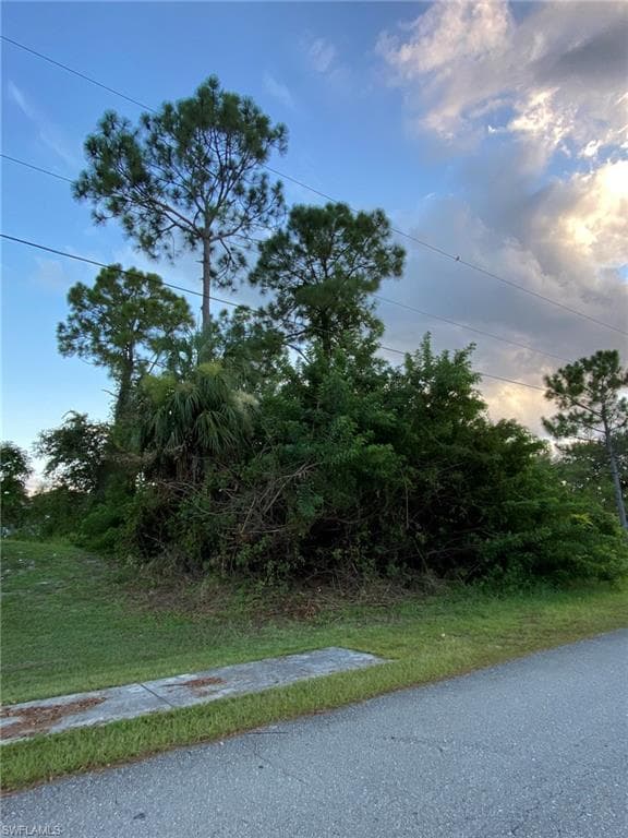 3905 18th ST W LEHIGH ACRES, FL 33971