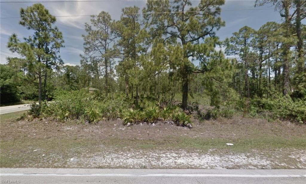 1006 W 10th ST LEHIGH ACRES, FL 33972