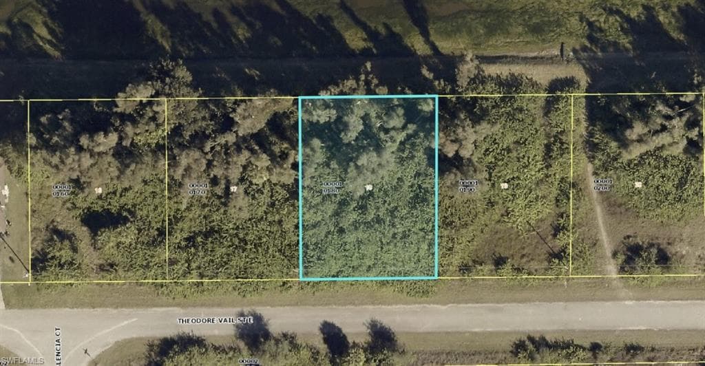 117 Theodore Vail ST E LEHIGH ACRES, FL 33974