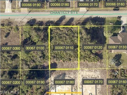 868 Chantilly ST E LEHIGH ACRES, FL 33974