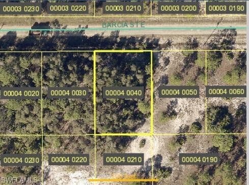 712 Barcia ST E LEHIGH ACRES, FL 33974