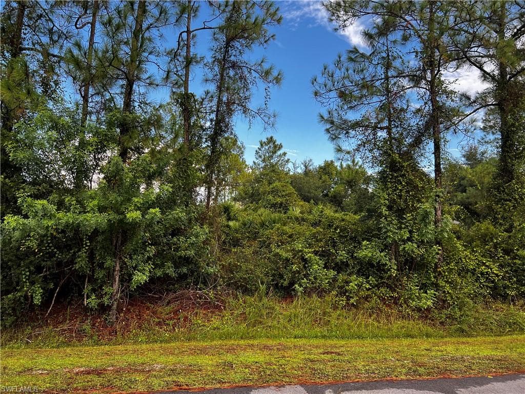 2317 Columbus AVE ALVA, FL 33920