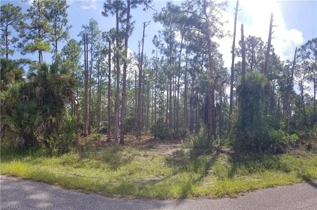 1020 Maple AVE N LEHIGH ACRES, FL 33972