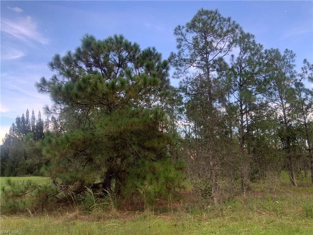 1306 McArthur AVE LEHIGH ACRES, FL 33972