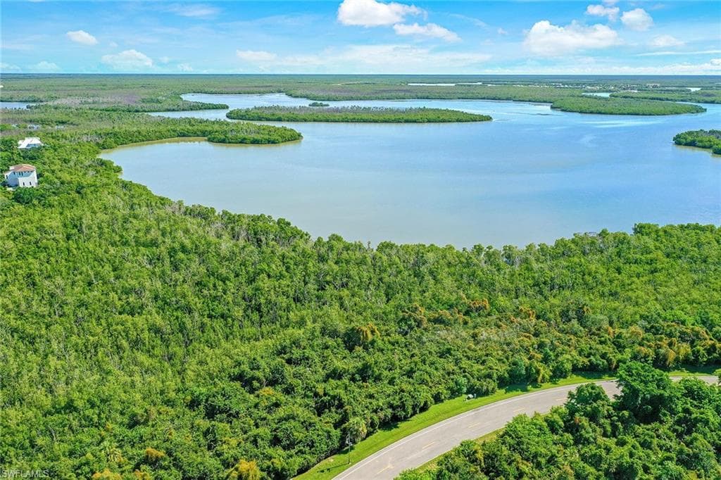 1059 Blue Hill Creek DR MARCO ISLAND, FL 34145