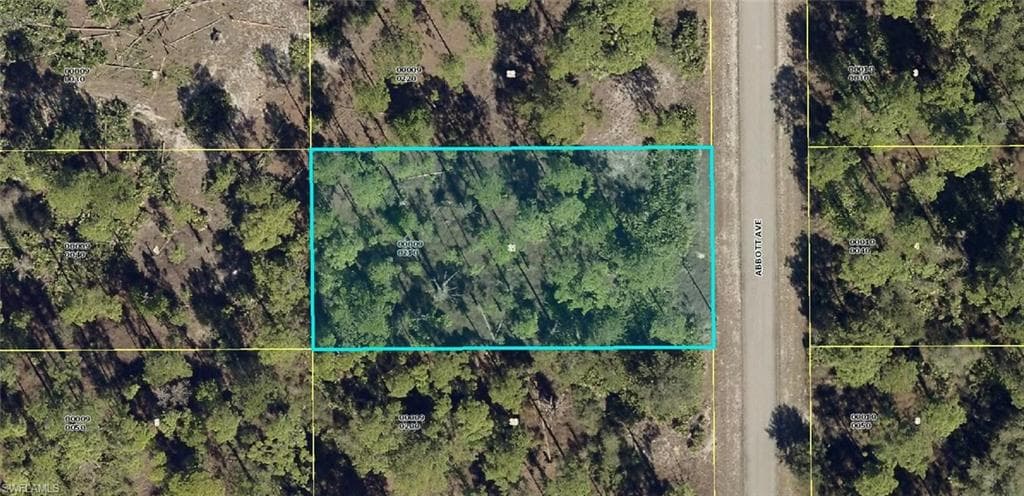 2119 Abbott AVE ALVA, FL 33920