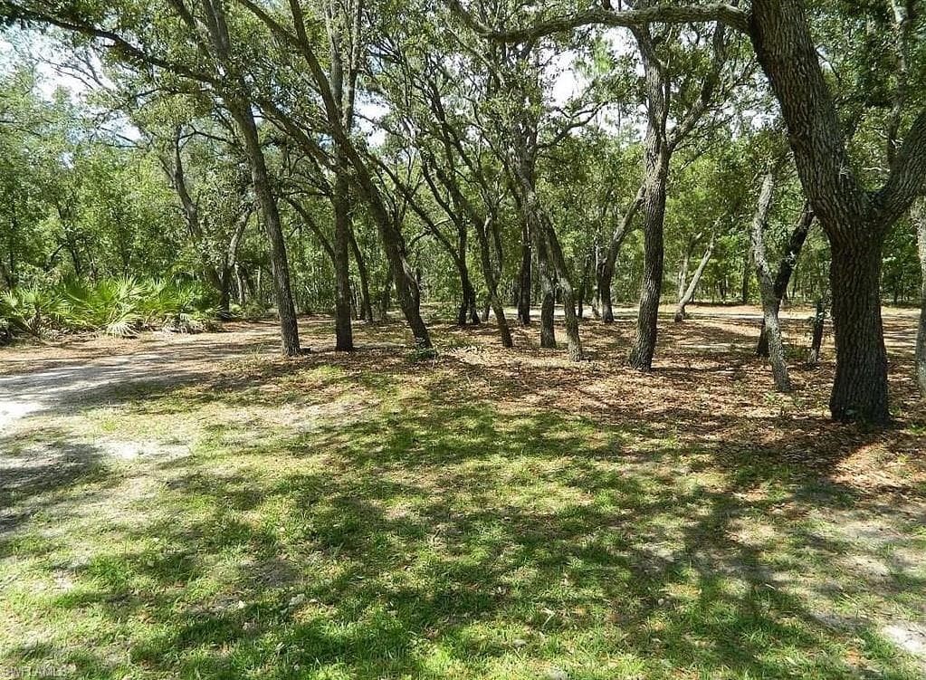 4 Crossandra DR HOMOSASSA, FL 34446