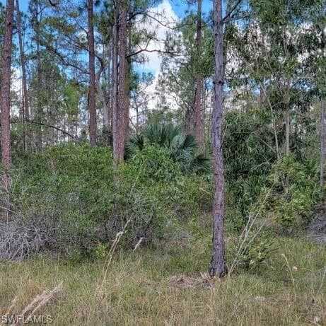 178 Victory CT LEHIGH ACRES, FL 33972