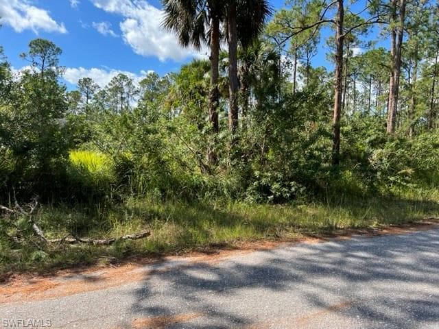 703 W 11th ST LEHIGH ACRES, FL 33972