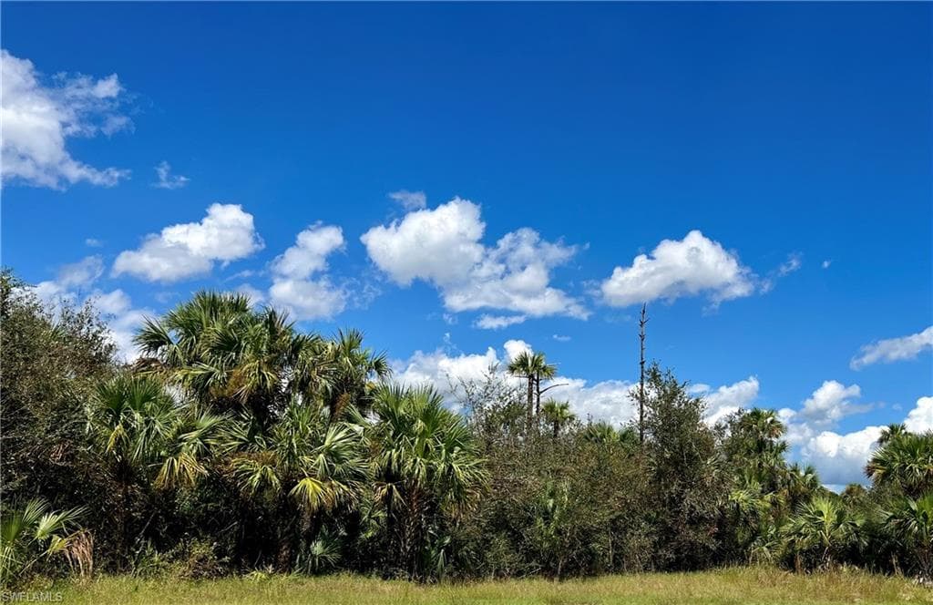 3109 Avon CT LABELLE, FL 33935