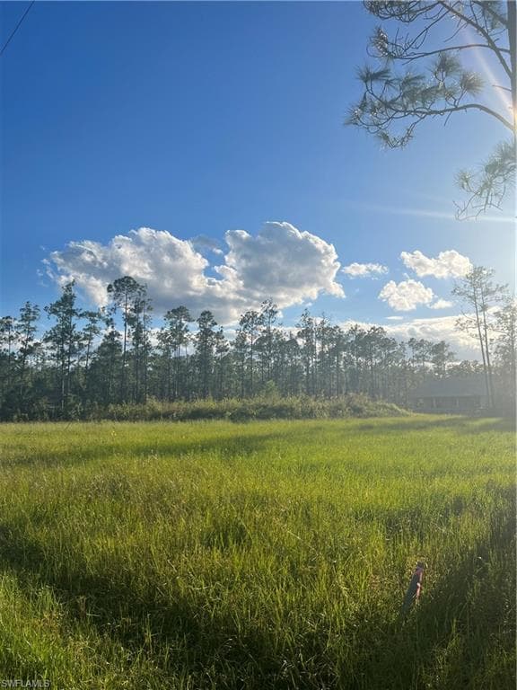 2205 Truman AVE ALVA, FL 33920