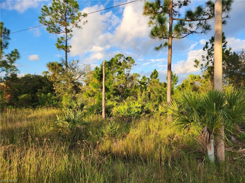 509 Clayton AVE LEHIGH ACRES, FL 33972
