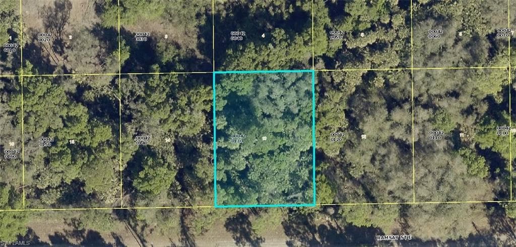 1215 Ramsay ST E LEHIGH ACRES, FL 33974