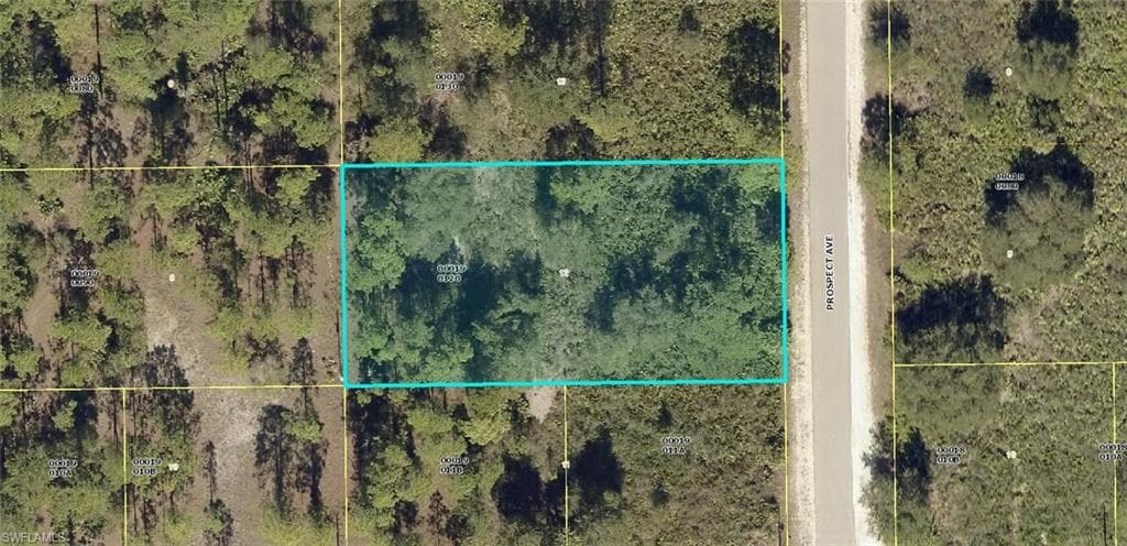 1703 Prospect AVE LEHIGH ACRES, FL 33972
