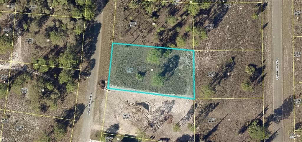 715 Goldwyn AVE S LEHIGH ACRES, FL 33974