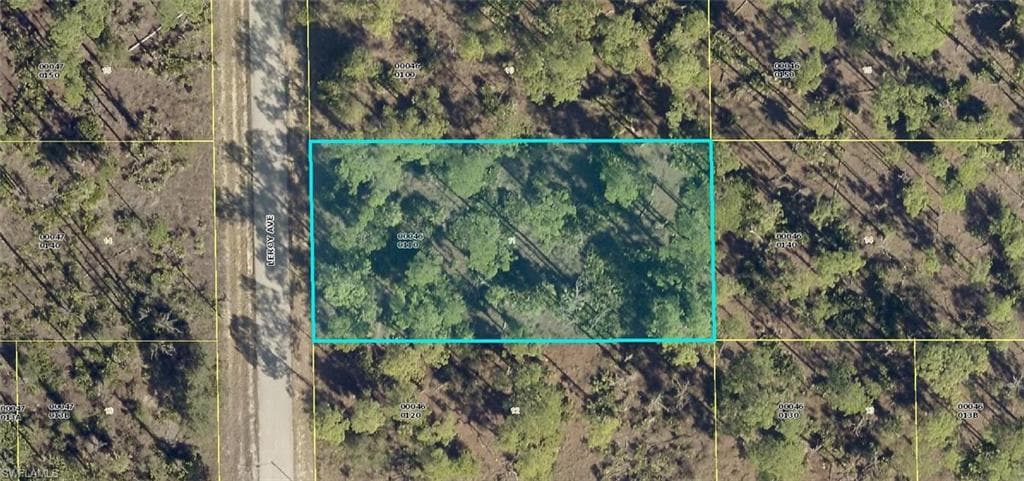702 Leroy AVE LEHIGH ACRES, FL 33972