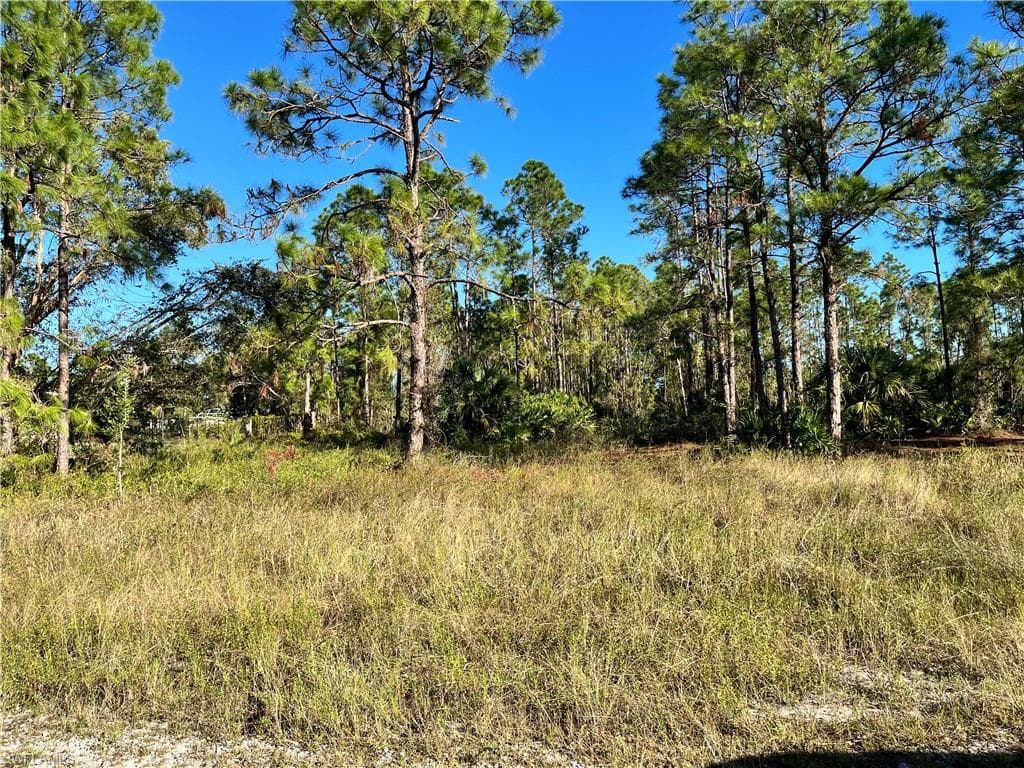 749 Langford ST LEHIGH ACRES, FL 33974