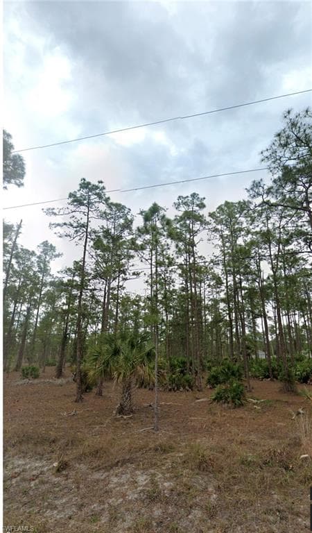 1220 Sheldon AVE LEHIGH ACRES, FL 33972