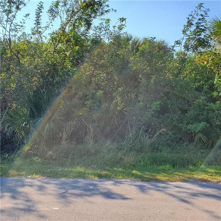 342 Lanford AVE LEHIGH ACRES, FL 33974