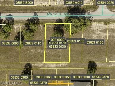 2302 NW 12th TER CAPE CORAL, FL 33993