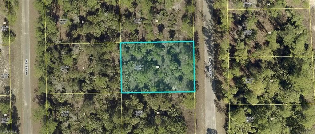 2119 Jackson AVE ALVA, FL 33920