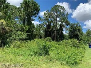 523 Millcreek ST LEHIGH ACRES, FL 33974